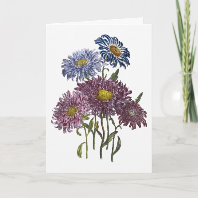 Carte Asters Watercolor Get Well Bientôt (Devant)
