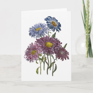 Carte Asters Watercolor Get Well Bientôt
