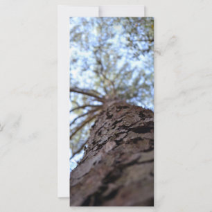 Carte Atteignez le haut par Shirley Taylor