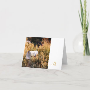 Carte Attente du courrier