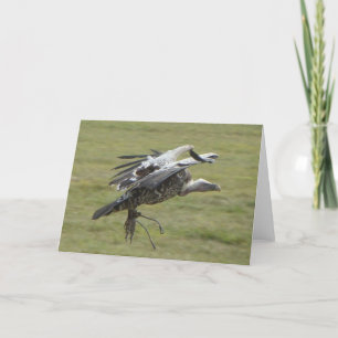 Carte Atterrissage avec ailes ouvertes oiseau de proie p
