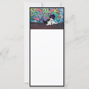 Carte Attitude de chat.....Kitten et mur de graffitis