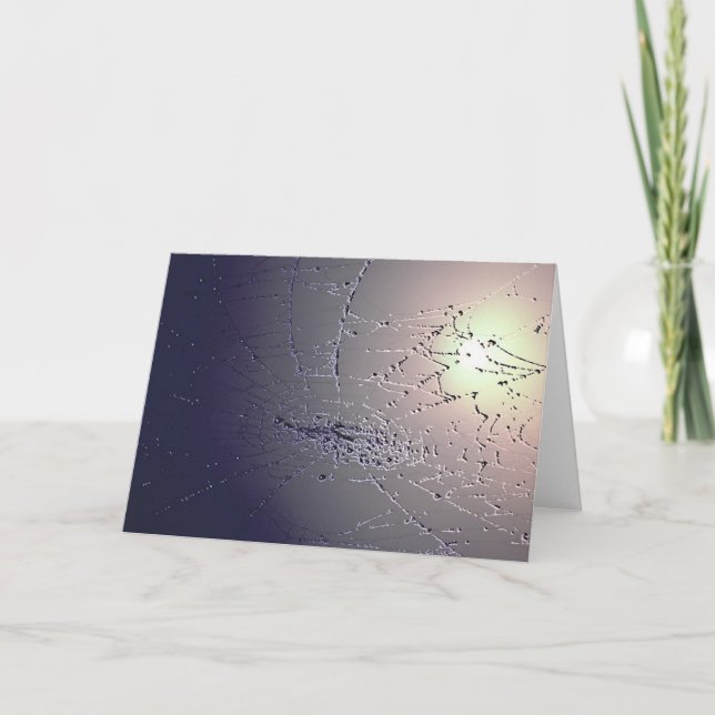 Carte Attrapé ! (Devant)