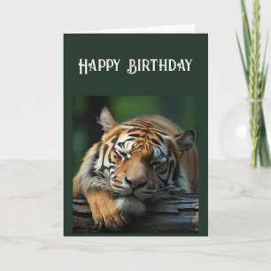 Carte Au-dessus de la colline Sérieusement Big Cat Nap