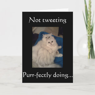 CARTE AUCUN CHAÎNE TWEETING-HAPPY PUR-FECT ANNIVERSAIRE