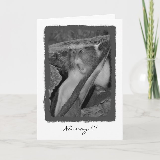 Carte Aucune manière, anniversaire ! (Devant)