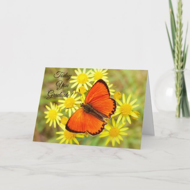 Carte Aujourd'hui, vous Graduate papillon (Devant)