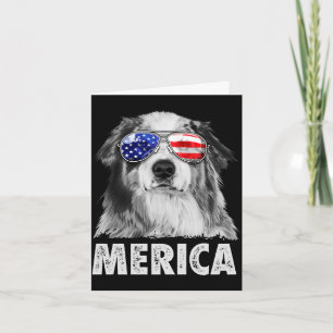 Carte Aussie australian shepherd 4 juillet merica