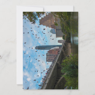 Carte Austin Texas Bats