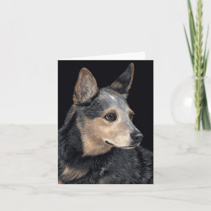 Carte Australian Cattle Dog - "Quigley"