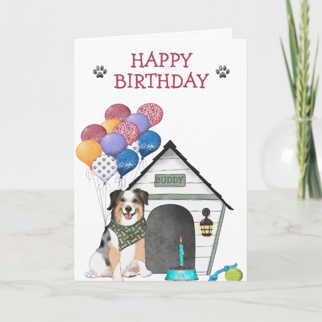 Carte Australian Shepherd'anniversaire (Devant)