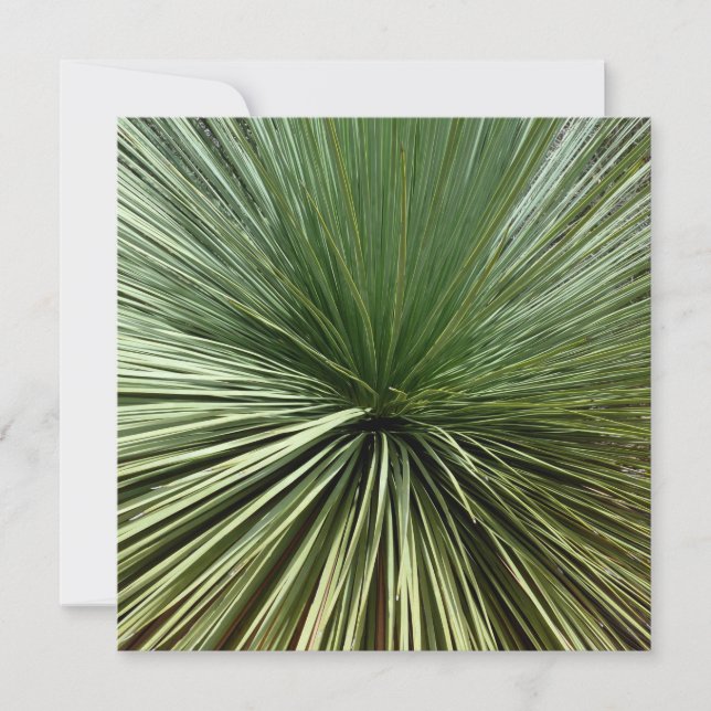 Carte Australien Plante - abstrait (Devant)