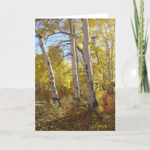 Carte Automne Aspen toute la salutation d'occasion
