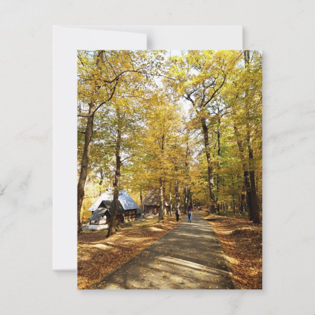 Carte Automne dans le parc en Roumanie (Devant)