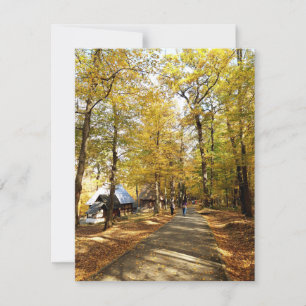 Carte Automne dans le parc en Roumanie