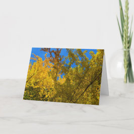 Carte automne et action de grâces 3