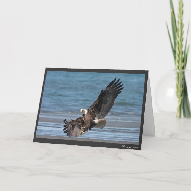 Carte Autorisation de débarquer (Devant)