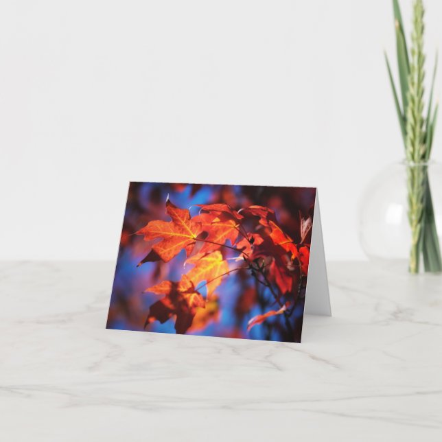 Carte Autumn (Devant)