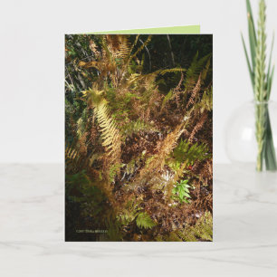 Carte Autumn Forest Floor