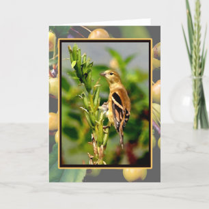 Carte Autumn Goldfinch et Crabapples Notecard