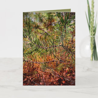 Carte Autumn Pine Needles 
