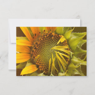 Carte Autumts Sunflower chauffante