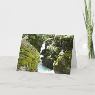 Carte Avalanche Gorge II at Glacier National Park