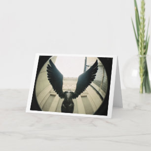 Carte Avec des ailes grandes ouvertes…