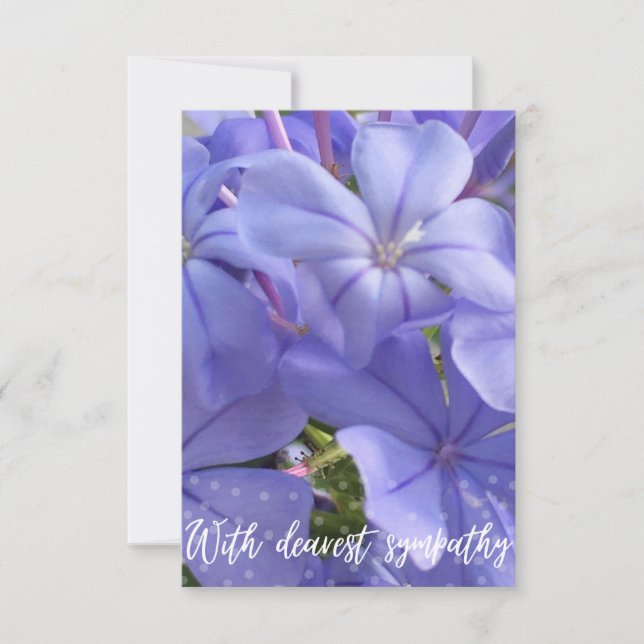 Carte "Avec la plus grande sympathie" (Devant)