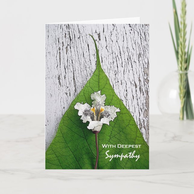 Carte Avec la plus profonde sympathie Catalpa Blossom et (Devant)