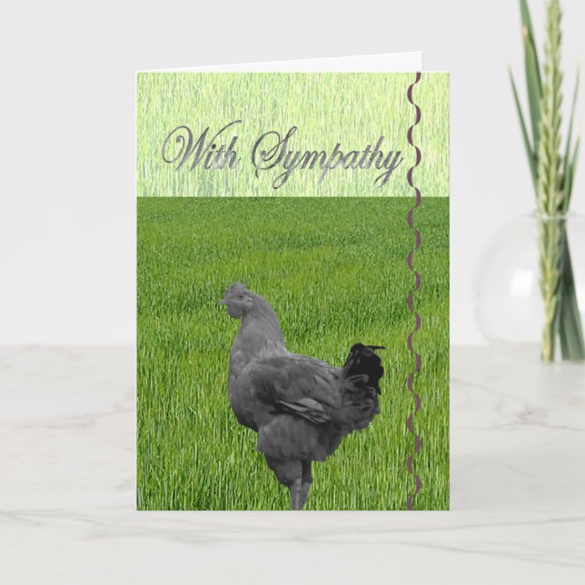 Carte Avec sympathie (perte d'un poulet) (Devant)