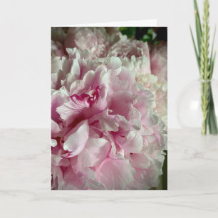 Carte Avec Sympathie Profonde avec Pivoines Blanches et 