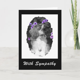 Carte Avec Sympathy Cavalier King Charles Card