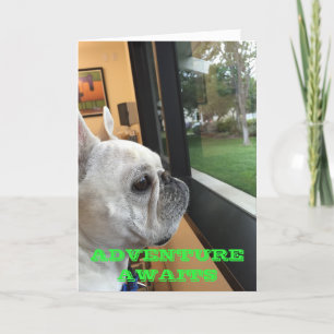 Carte Aventure Attente - Joyeux anniversaire
