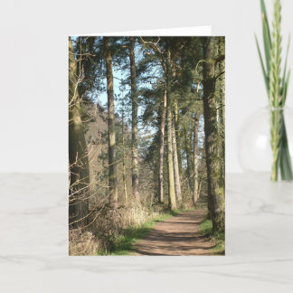 Carte avenue des arbres