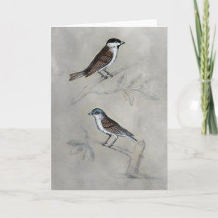 Carte Aviaire argenté Une paire d'oiseaux
