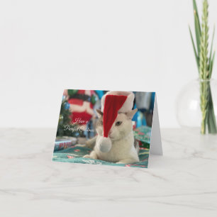 Carte Avoir des catsmas à dessein Drôle Chat de Noël