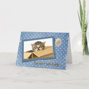 Carte avoir plus d'anniversaire avec chat dans la boîte