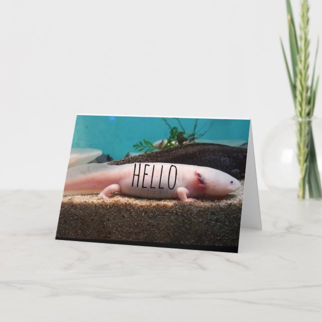 Carte Axolotl leuciste (Devant)