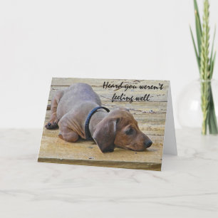 Carte AY- le chiot drôle de basset allemand obtiennent