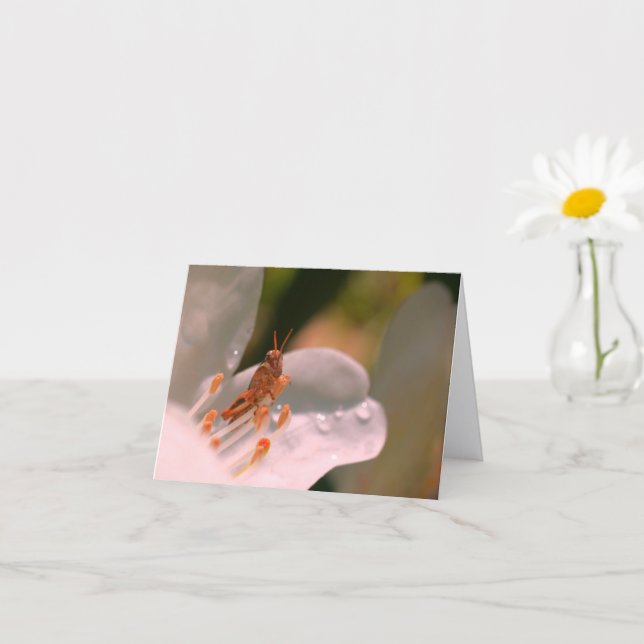 Carte Azalea Flower And Grasshopper Personalized Note (Petite plante)