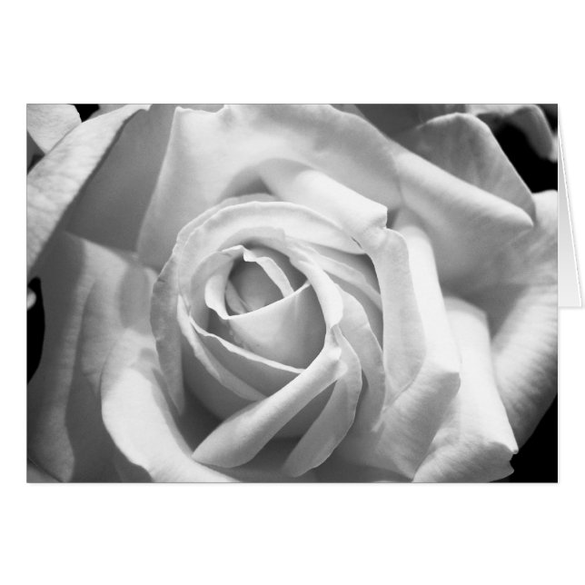 Carte B/W rose (Devant Horizontal)