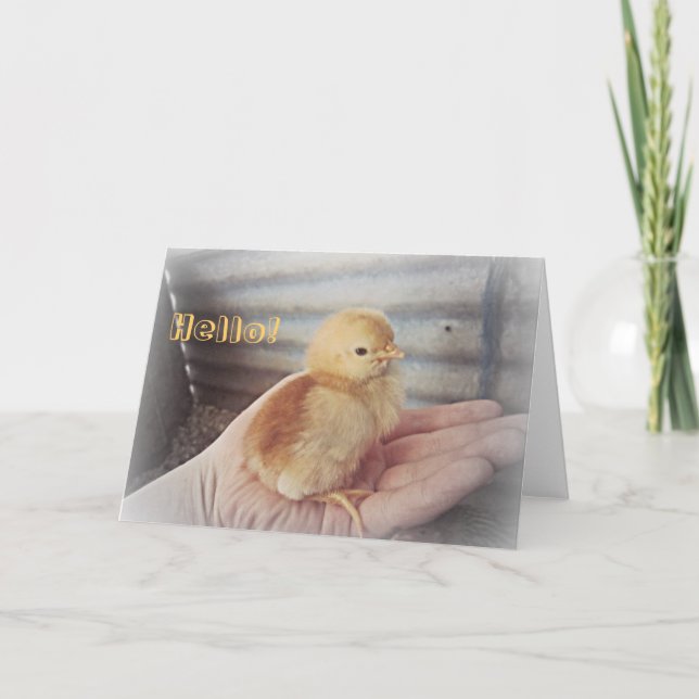 Carte Baby Chick "Hello" (Devant)
