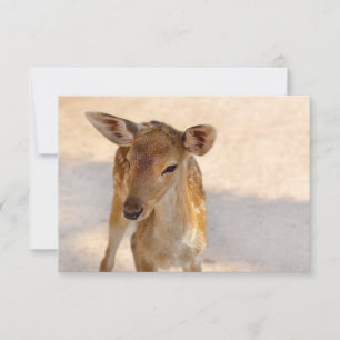 Carte Baby Deer