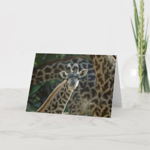 Carte Baby Giraffe
