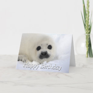 Carte Baby Harp Seal