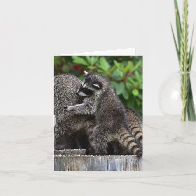 Carte Baby Raccoons et maman (Devant)