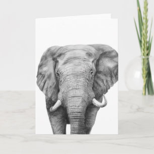 Carte Back Up Plan IV