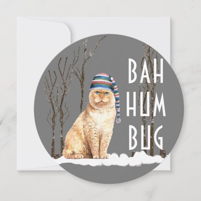 Carte Bah Humbug Funny Chat Round Christmas Card (Devant)