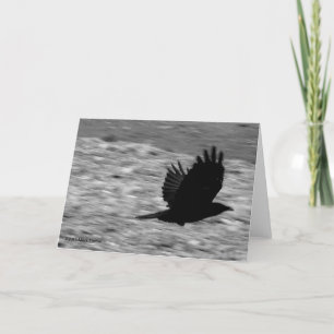 Carte Baie Raven de Kachemak